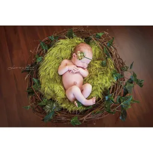 SET Olive Fur and Wood Branch Nest Owl Bird Photography Prop Newborn Baby Photo Prop