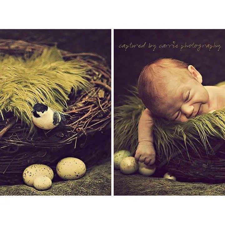 SET Olive Fur and Wood Branch Nest Owl Bird Photography Prop Newborn Baby Photo Prop