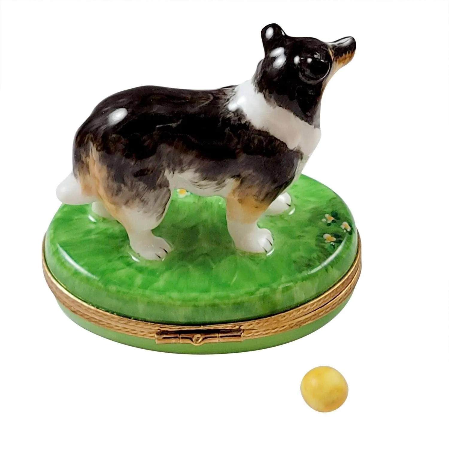 Sheltie with Removable Ball