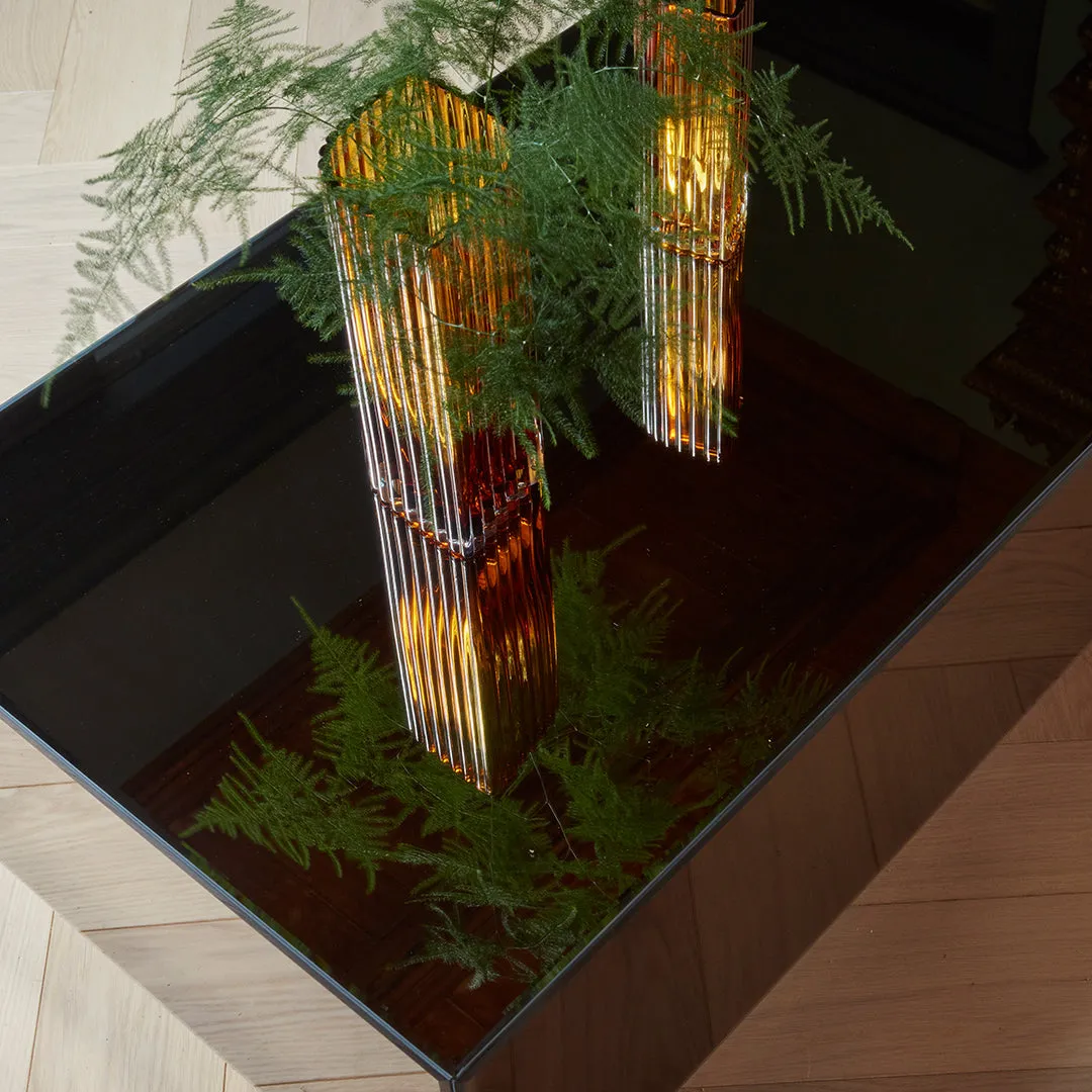 Speculum Coffee Table