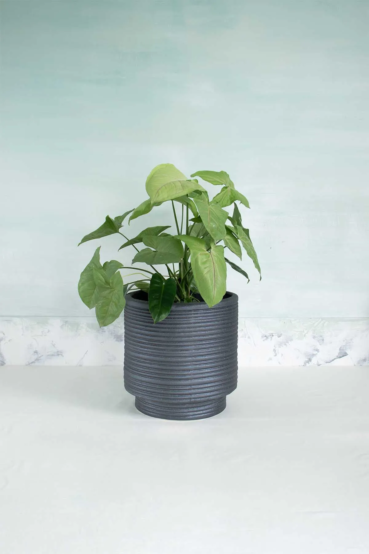 Strata Footed Ceramic Planter