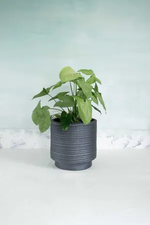Strata Footed Ceramic Planter