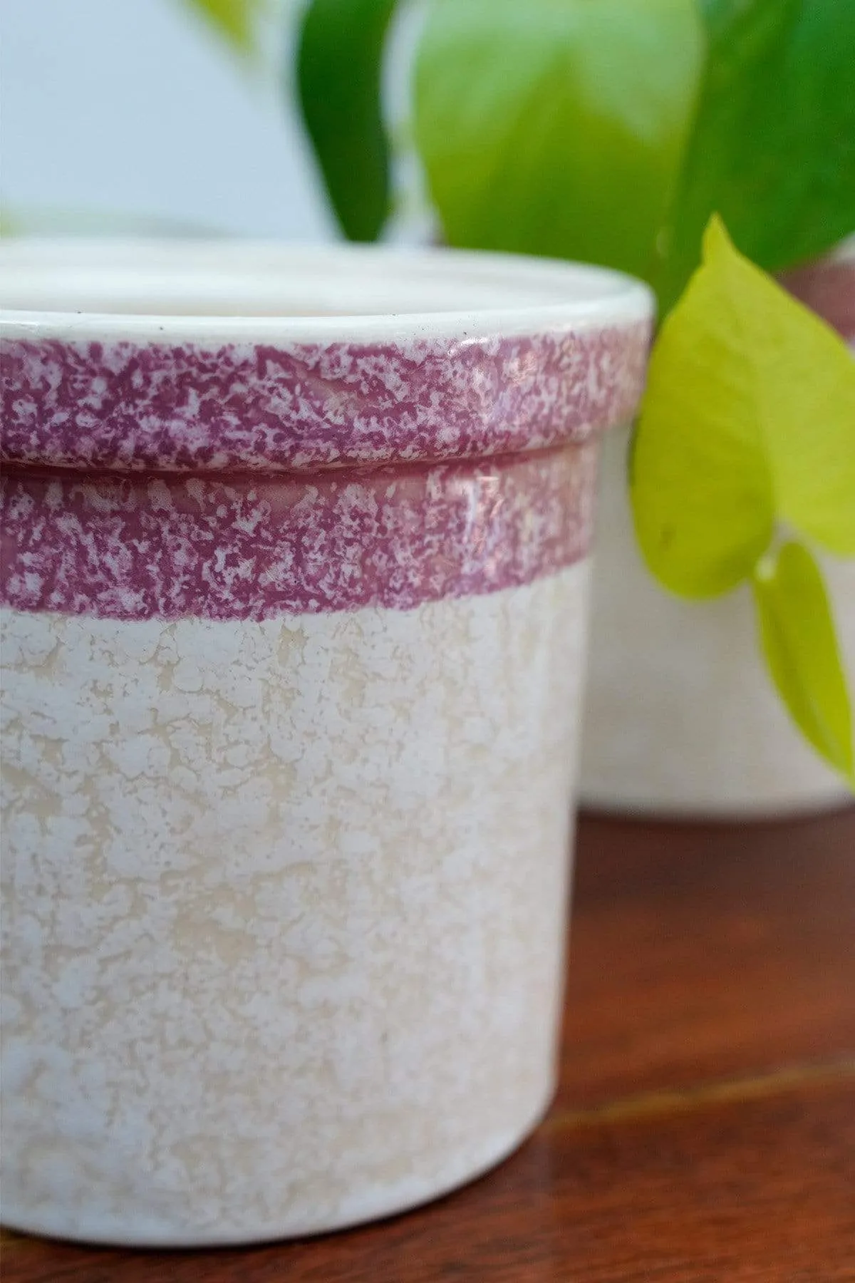 Studio Line White And Pink Jar Planter (Set Of 2)