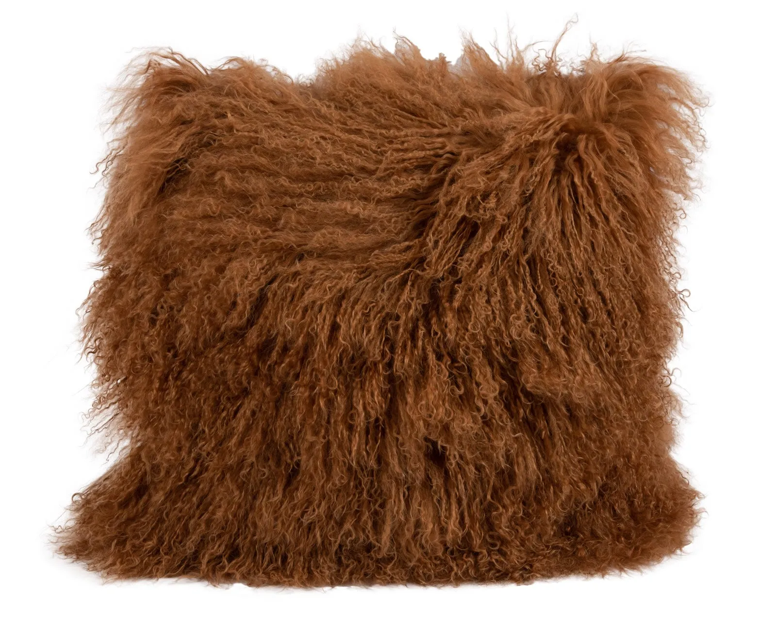 Tibetan Cushion