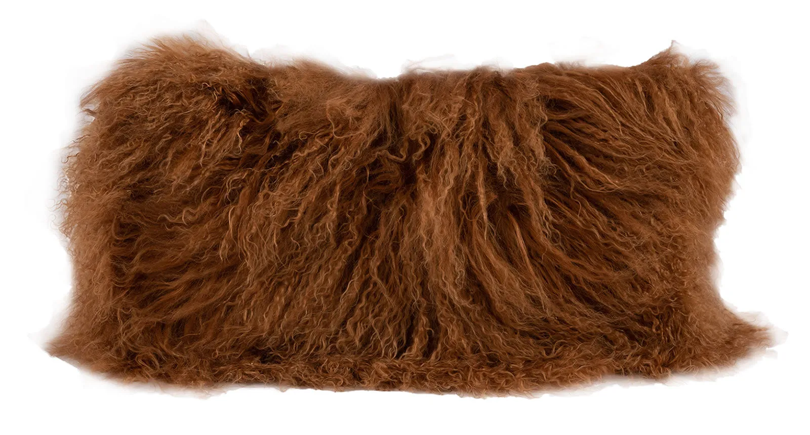 Tibetan Cushion