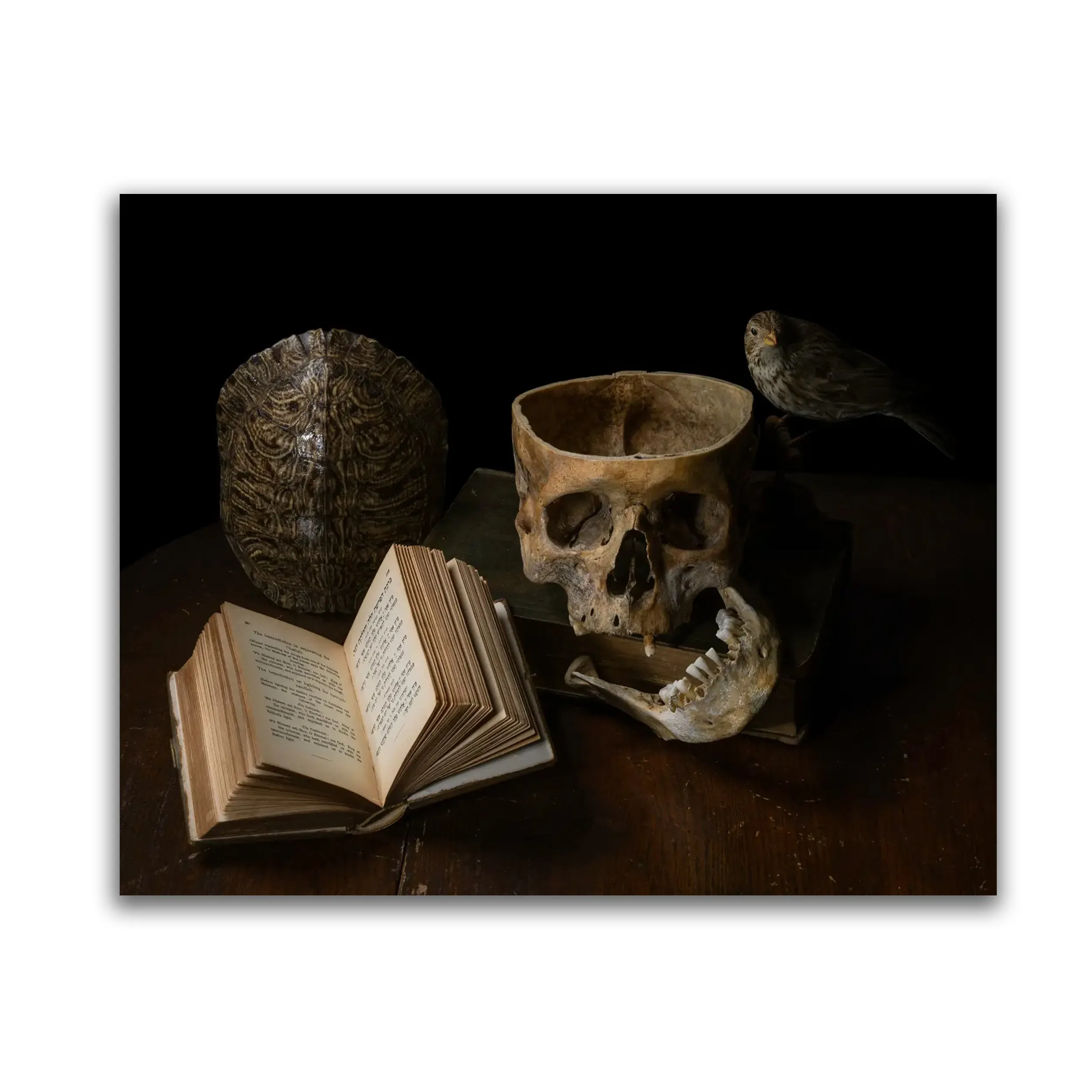 Vanus - Limited Edition Fine Art Photography Print