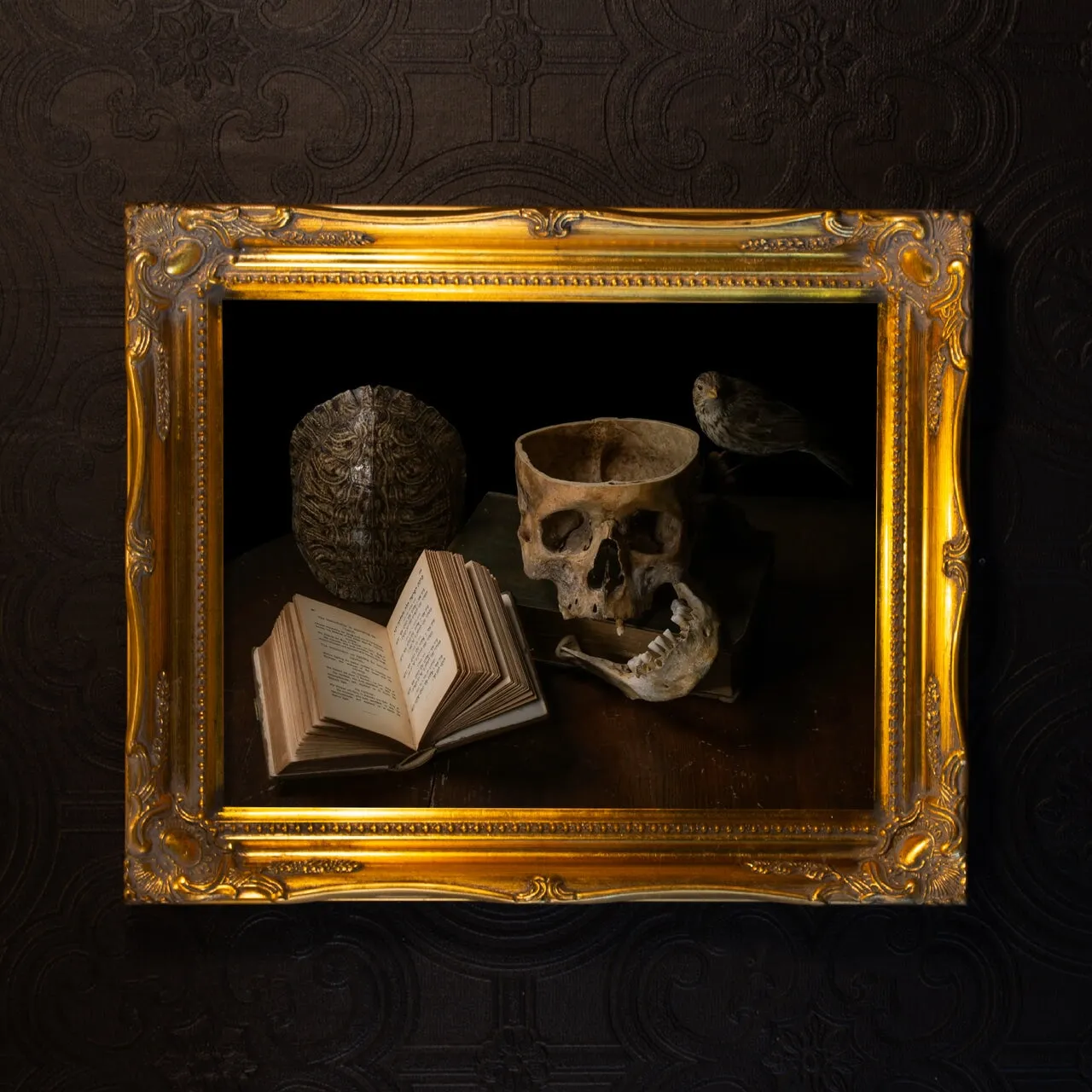 Vanus - Limited Edition Fine Art Photography Print