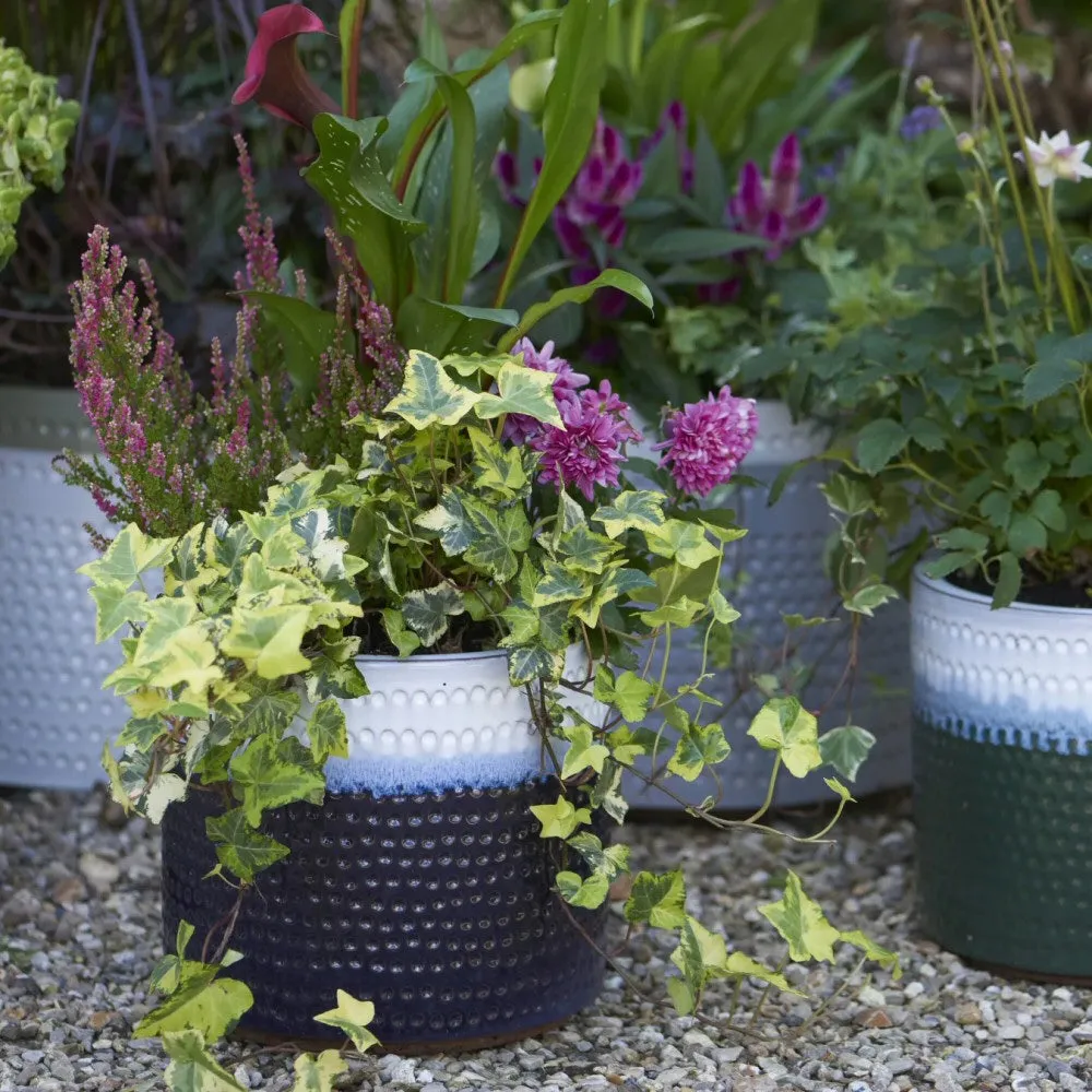 Woodlodge 37cm Dimple Glazed Pot (Choice of 2)